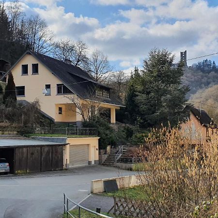 Grosses Ferienhaus Sauerburgblick Sauerthal Экстерьер фото