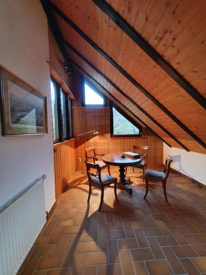 Grosses Ferienhaus Sauerburgblick Sauerthal Экстерьер фото