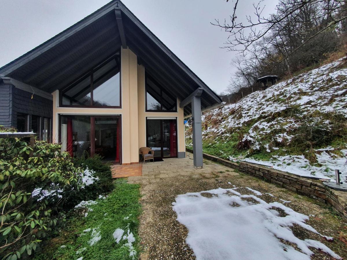 Grosses Ferienhaus Sauerburgblick Sauerthal Экстерьер фото